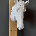 Paardenhoofd , wit